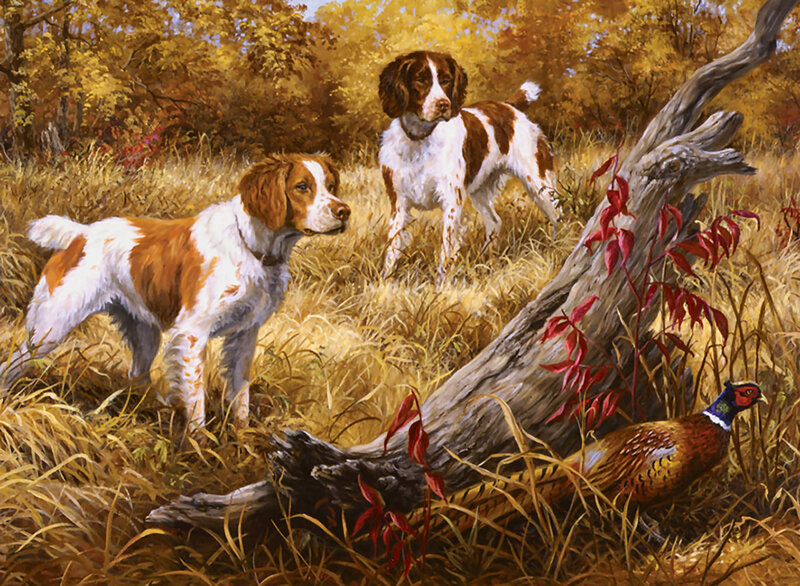Two Hunting Dogs and a Pheasant