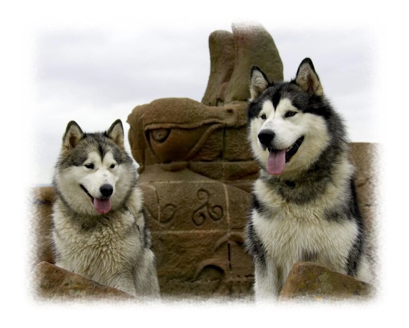 Two husky dogs at a sculpture