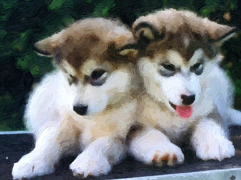 Two Husky Puppies — White, Calm, Painting