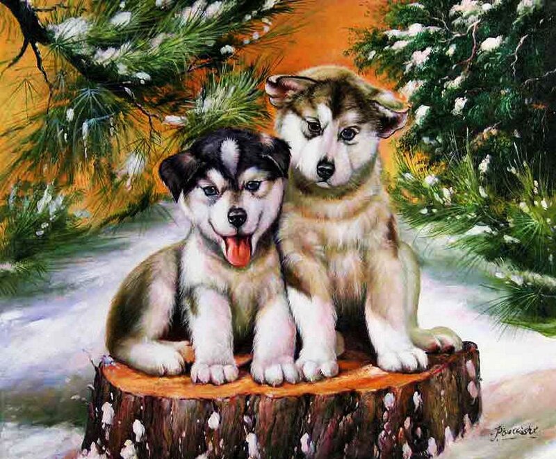 Two Husky Puppies — White, Peaceful, Winter