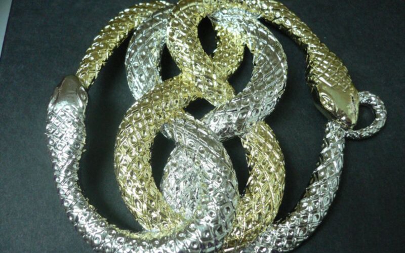 Two Intertwined Snakes