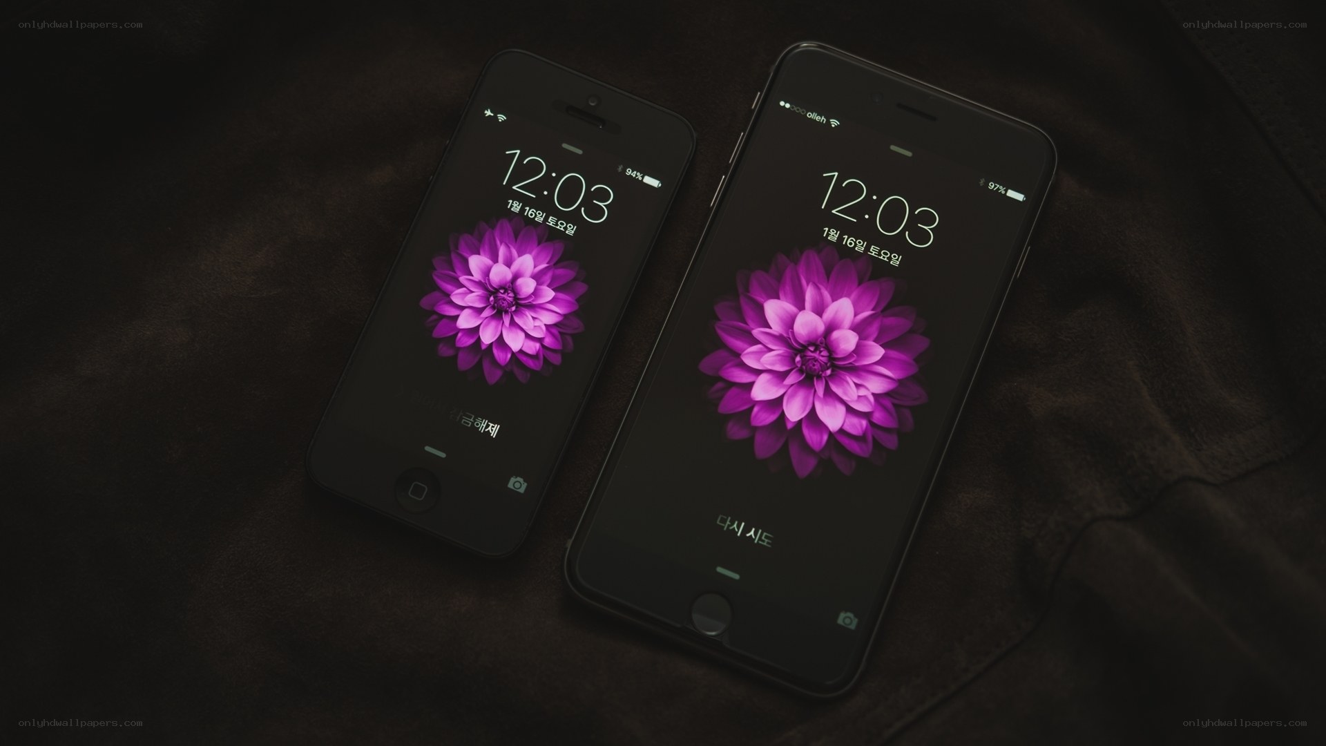 Two iPhones with purple flower wallpaper