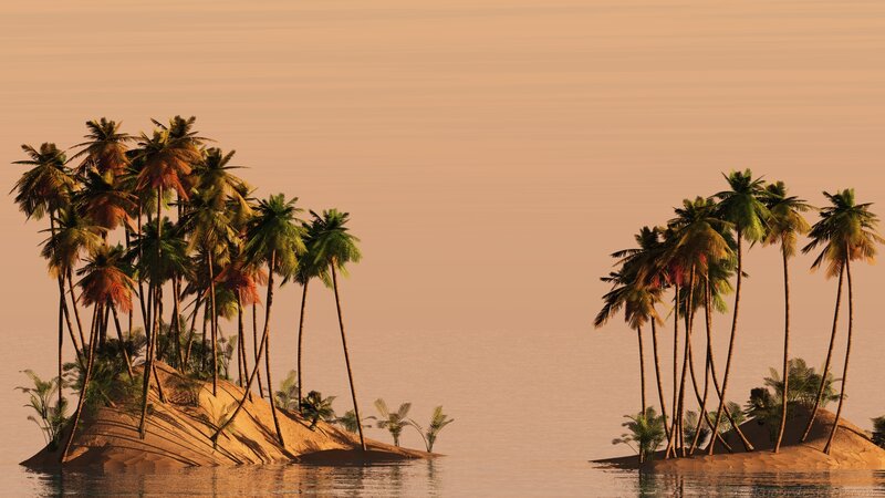 Two Islands with Palm Trees