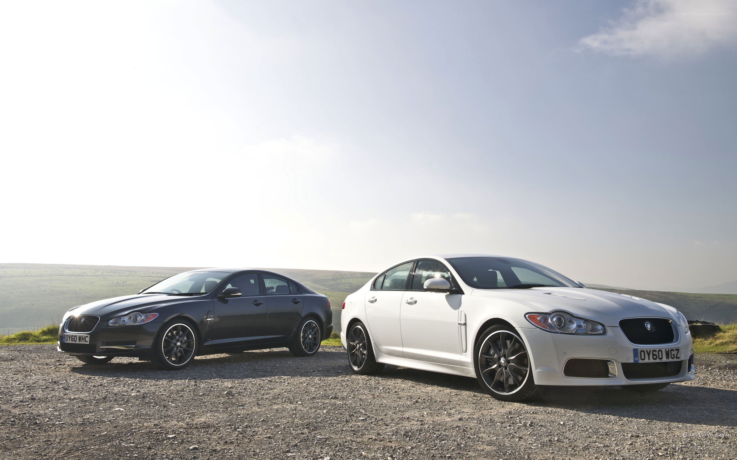 Two Jaguar sedans on a hill