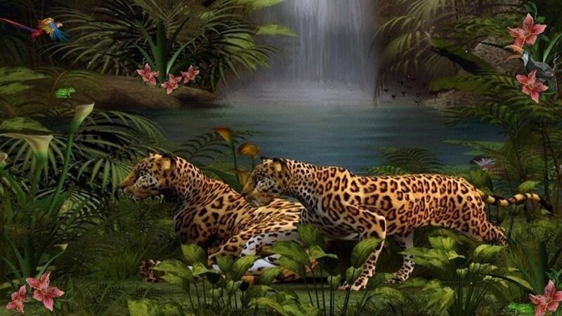 Two Jaguars in Jungle