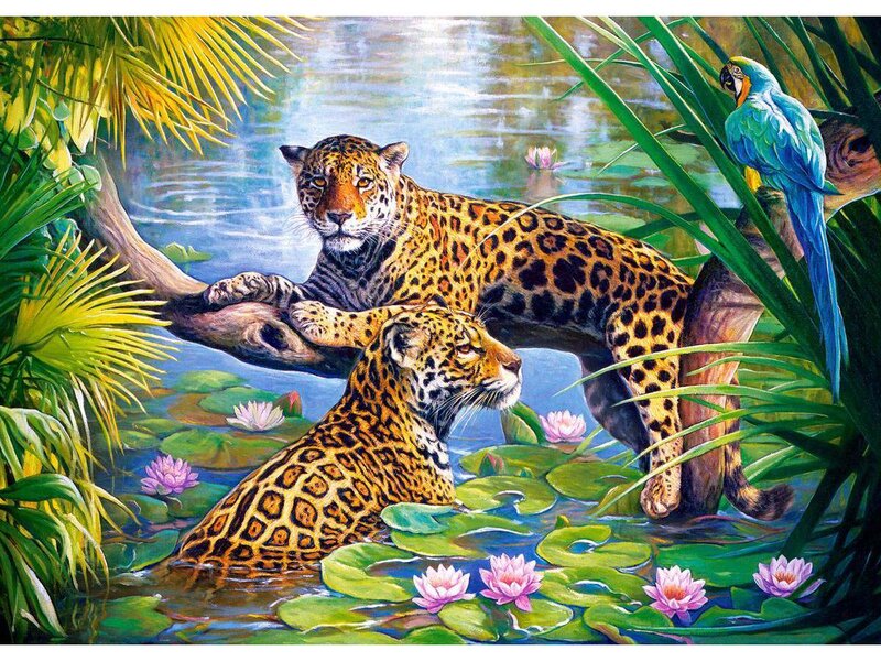 Two Jaguars in Pond — Green, Serene