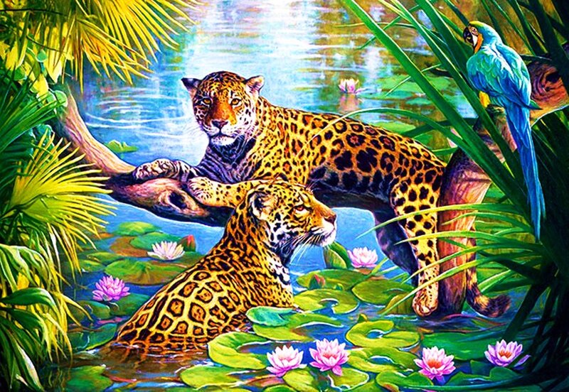 Two Jaguars in Pond