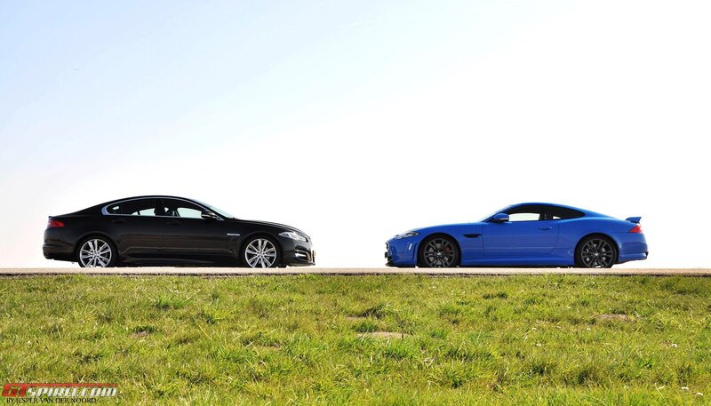 Two Jaguars on a road
