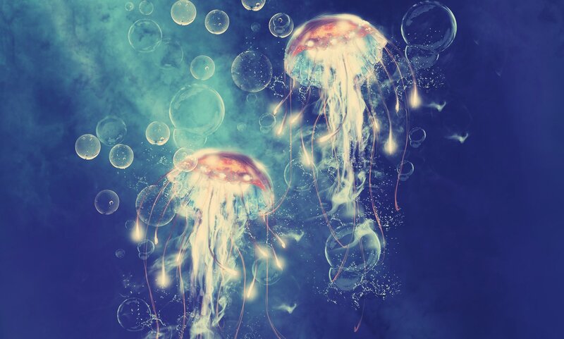 Two Jellyfish in Water — Blue, Serene, Digital Art, Bubbles
