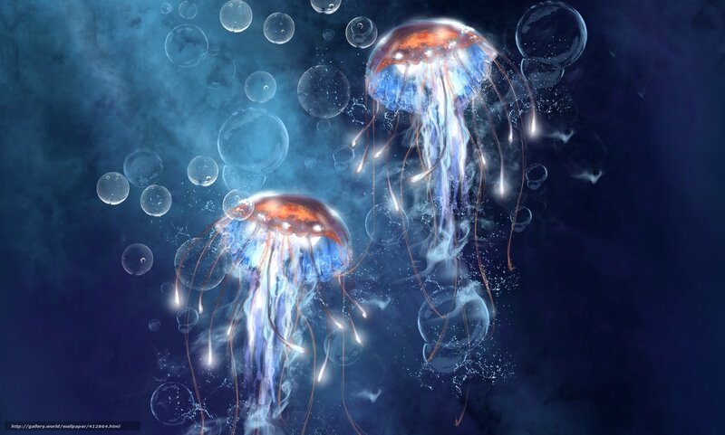 Two Jellyfish in Water — Blue, Serene, Night