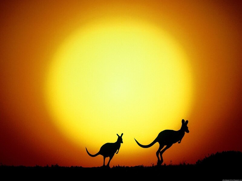 Two Kangaroos Silhouette — Yellow, Dramatic, Sunset, Photograph, Sun