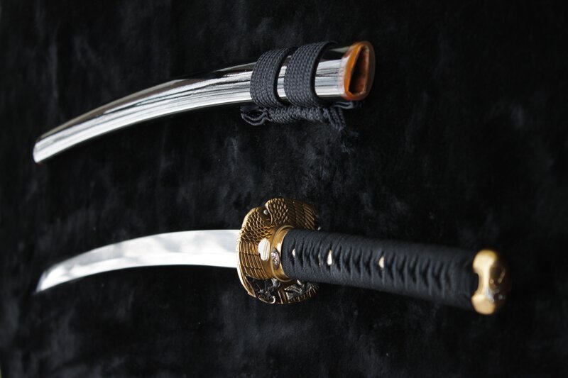 Two Katanas on Black