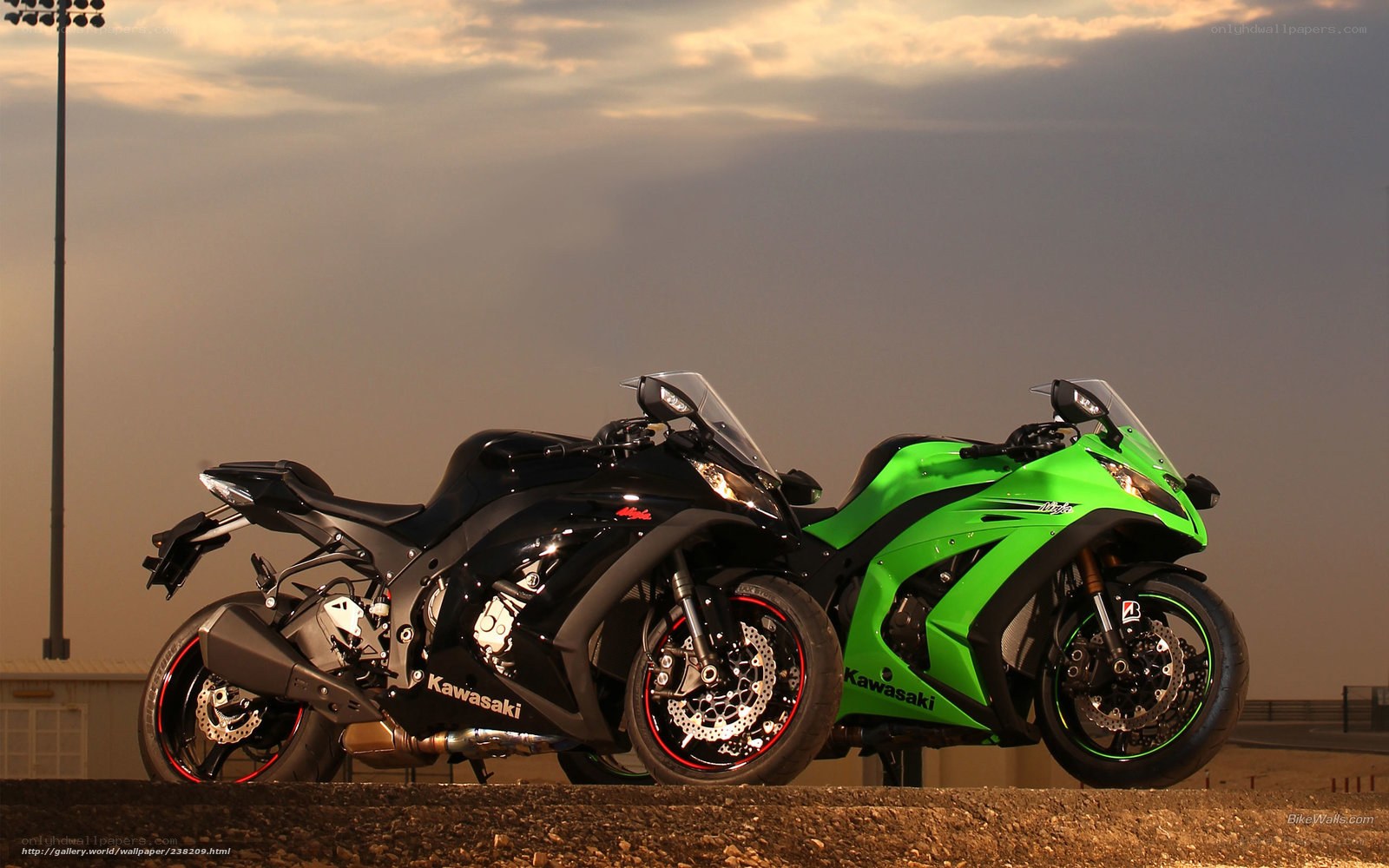 Two Kawasaki sport bikes at sunset