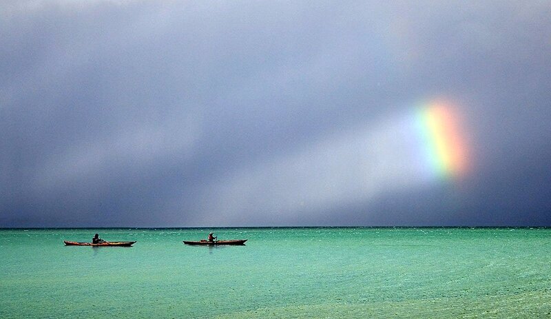 Two Kayakers on Water — Green, Serene