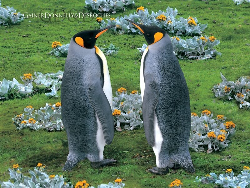 Two King Penguins — Green