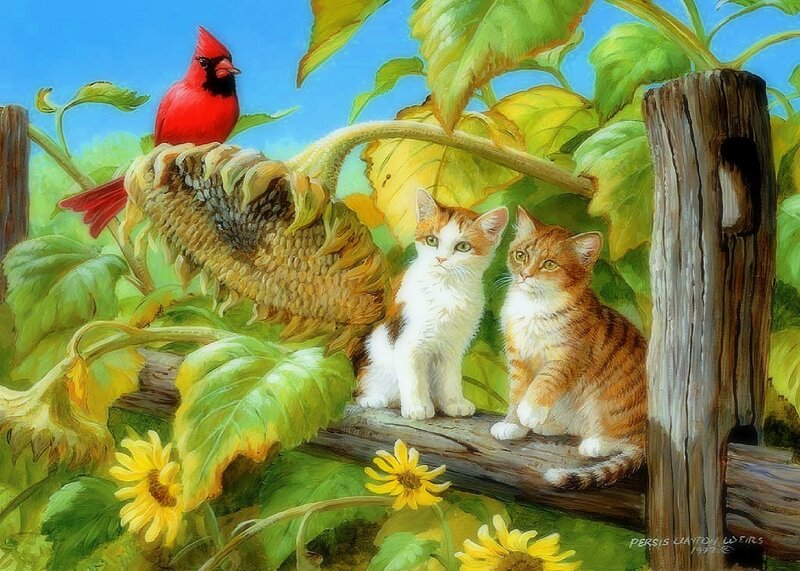 Two Kittens and a Cardinal — Green, Serene, Summer