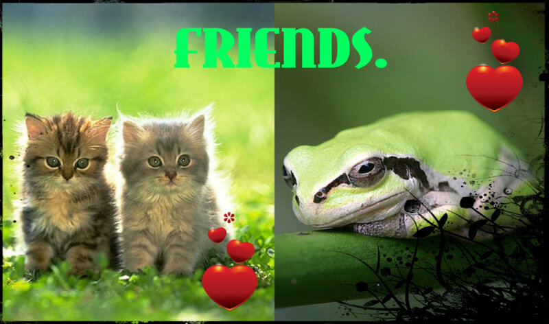 Two Kittens and a Frog