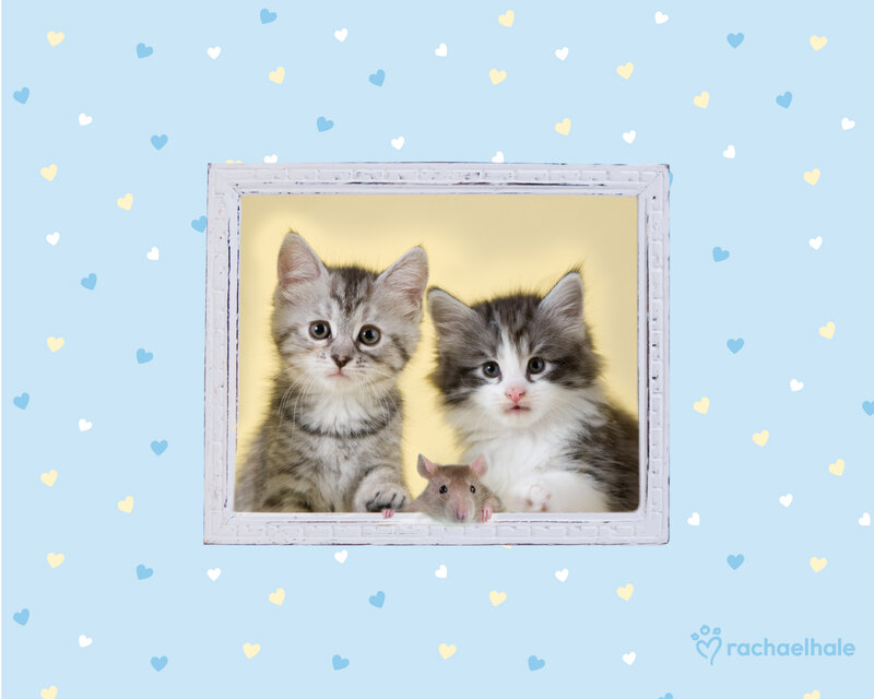 Two Kittens and a Mouse — Blue