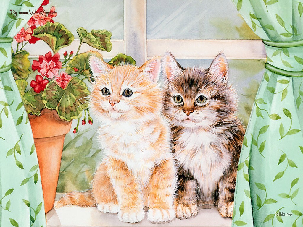 Two kittens by a window
