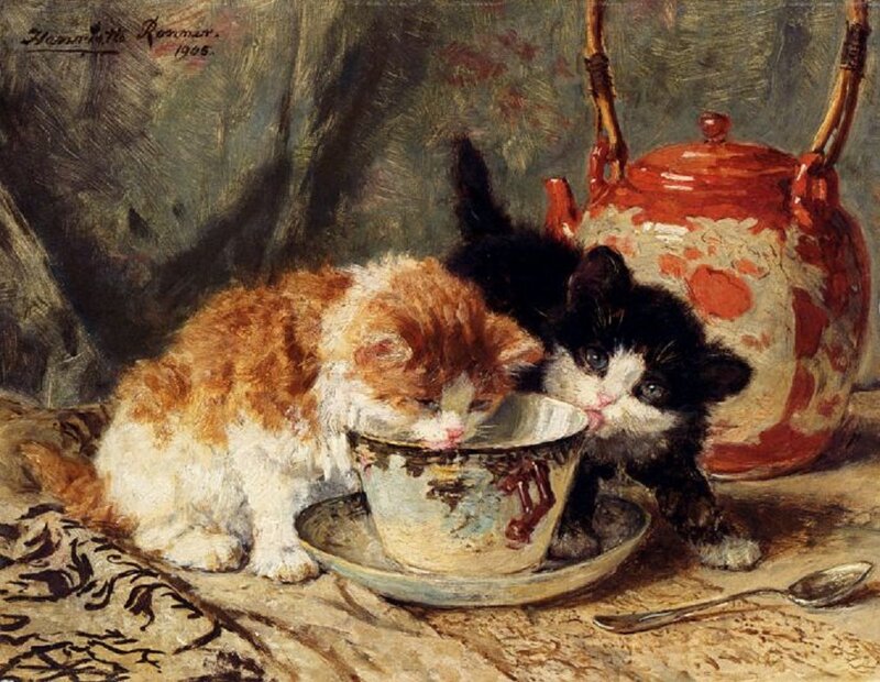 Two Kittens Drinking — Brown, Calm