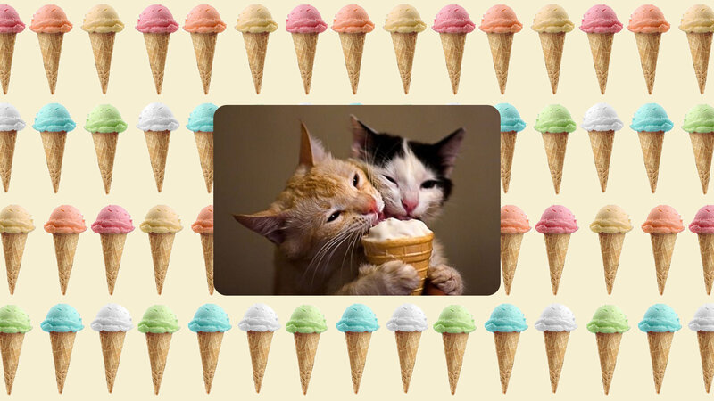 Two Kittens Eating Ice Cream — Beige