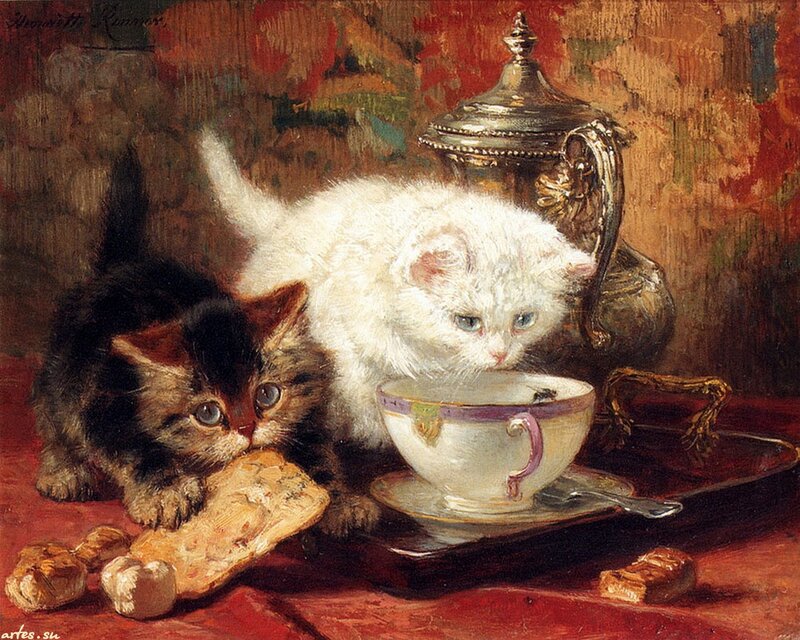 Two Kittens Eating