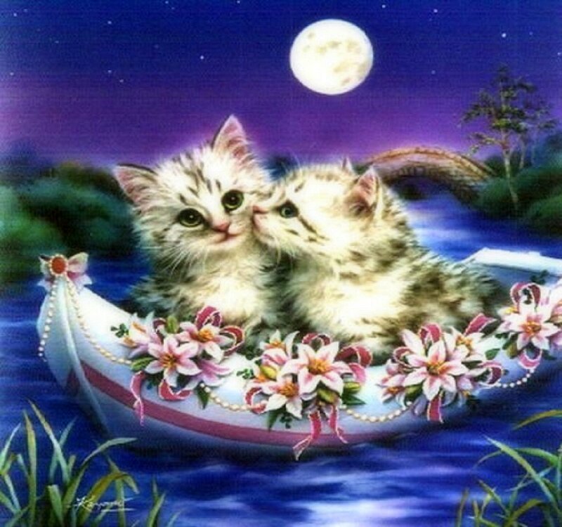 Two Kittens in a Boat