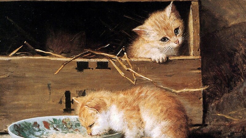 Two Kittens in a Box — Brown, Calm