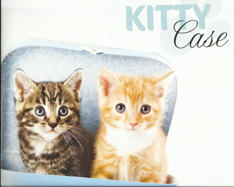 Two Kittens in a Case