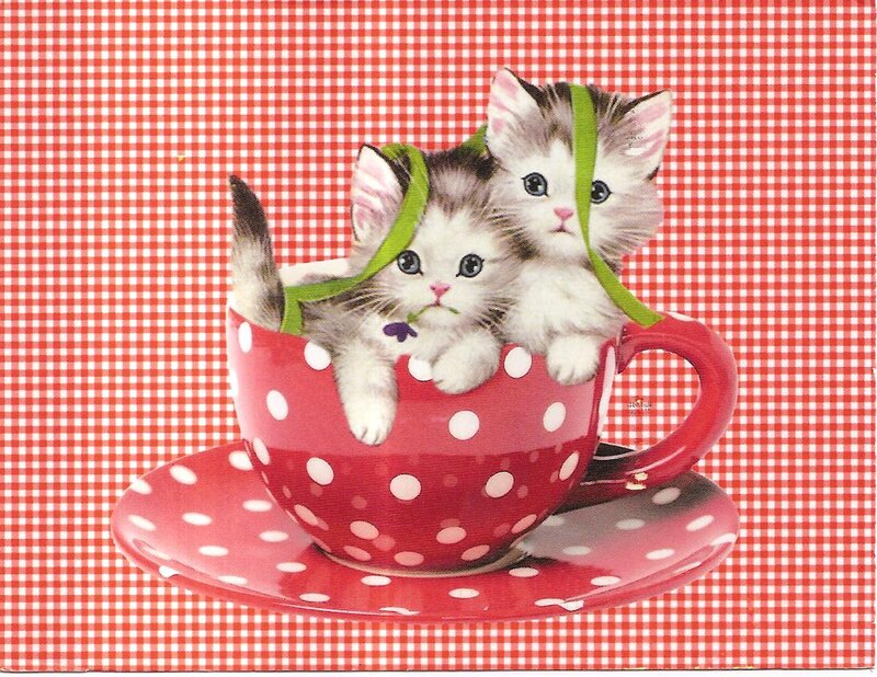 Two Kittens in a Cup — Red