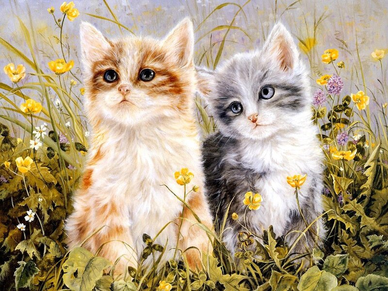 Two kittens in a flower field
