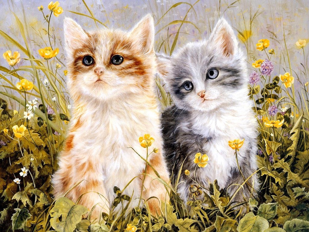 Two kittens in a flower field