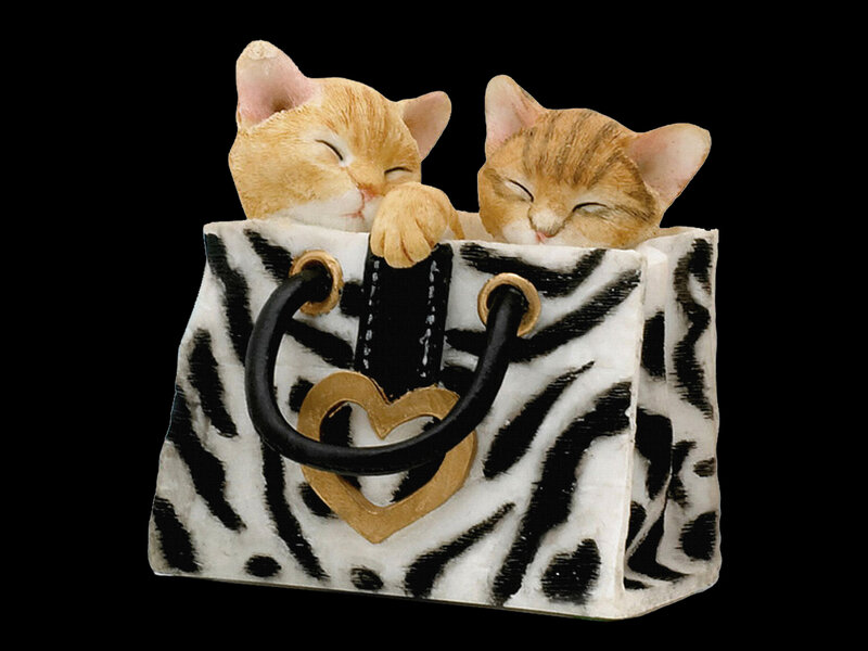 Two Kittens in Bag