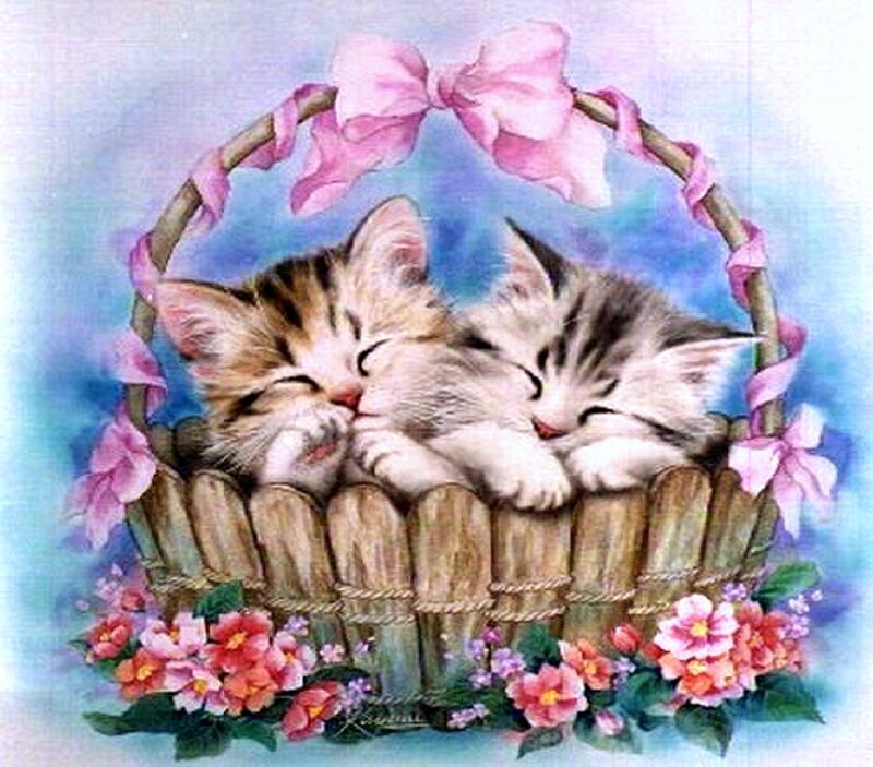 Two Kittens in Basket — Blue, Peaceful