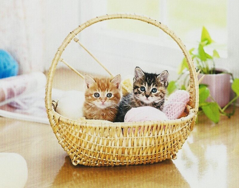 Two Kittens in Basket — Brown, Calm, Morning