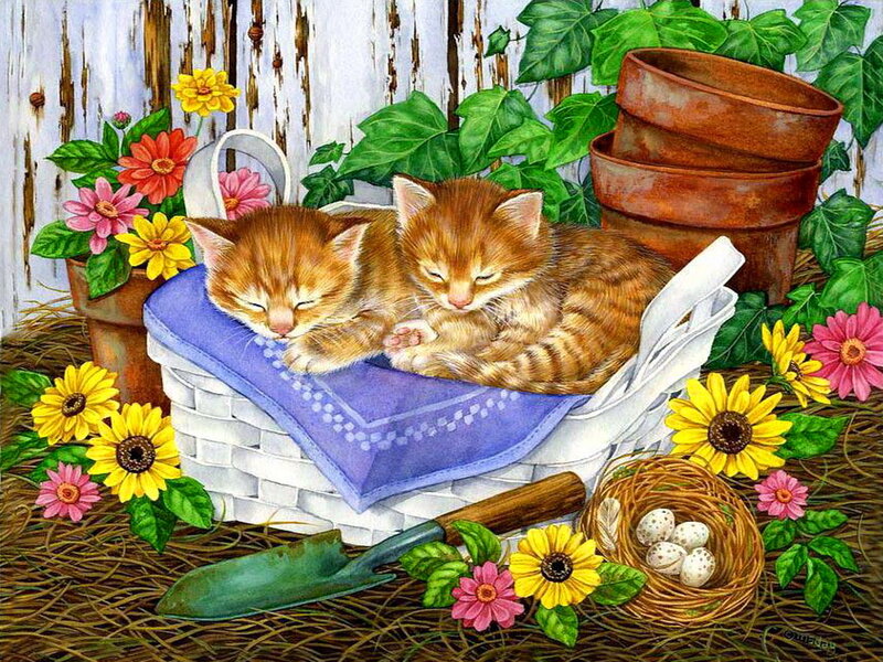 Two Kittens in Basket — Orange, Serene