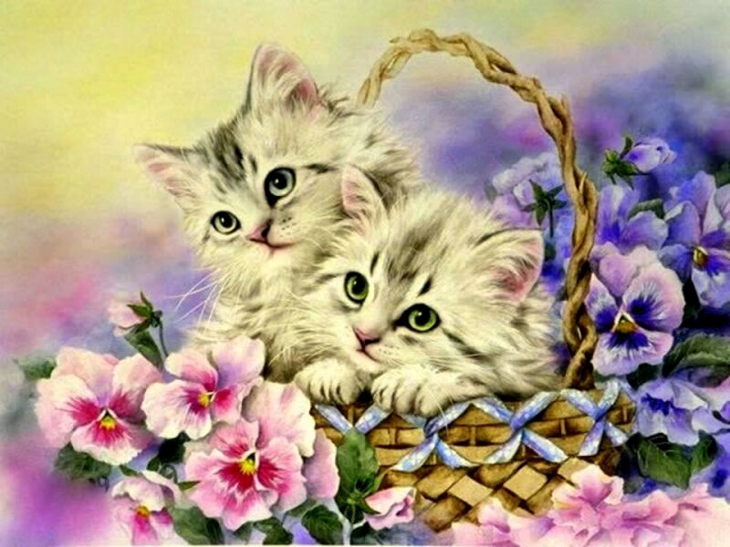 Two Kittens in Basket — Purple, Calm