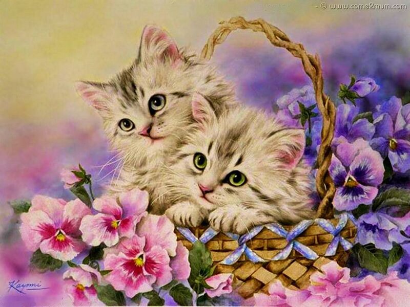 Two Kittens in Basket — Purple, Serene, Illustration