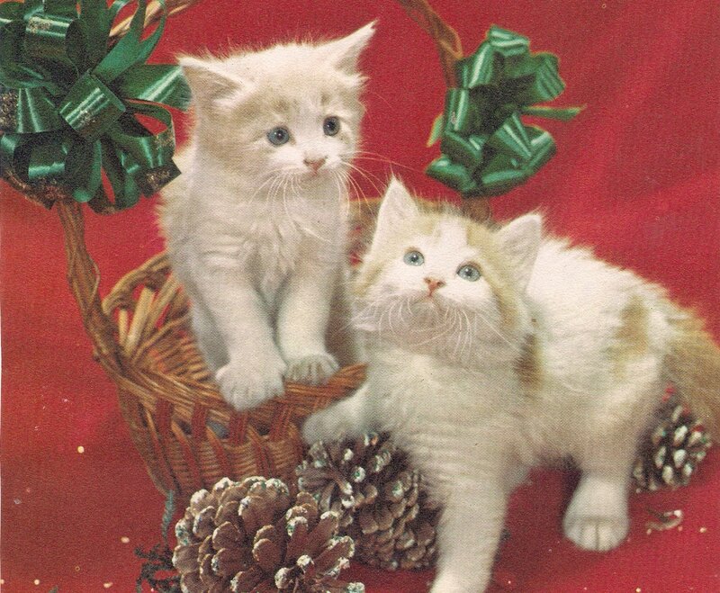 Two Kittens in Basket — Red