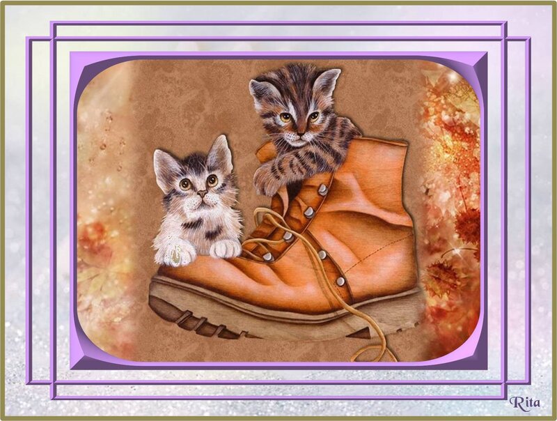 Two Kittens in Boot — Brown, Cute