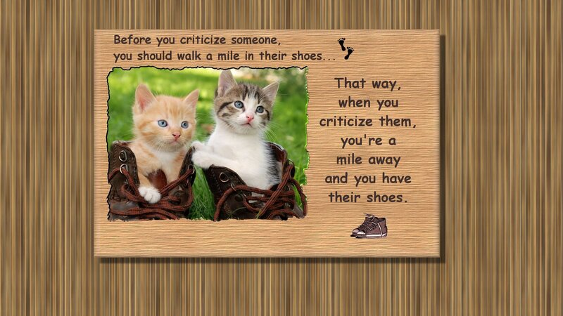Two Kittens in Boots — Brown, Playful