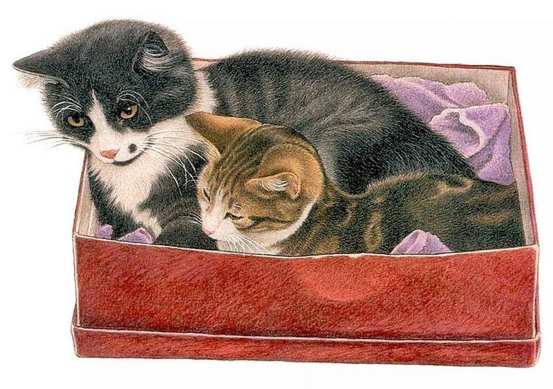 Two Kittens in Box