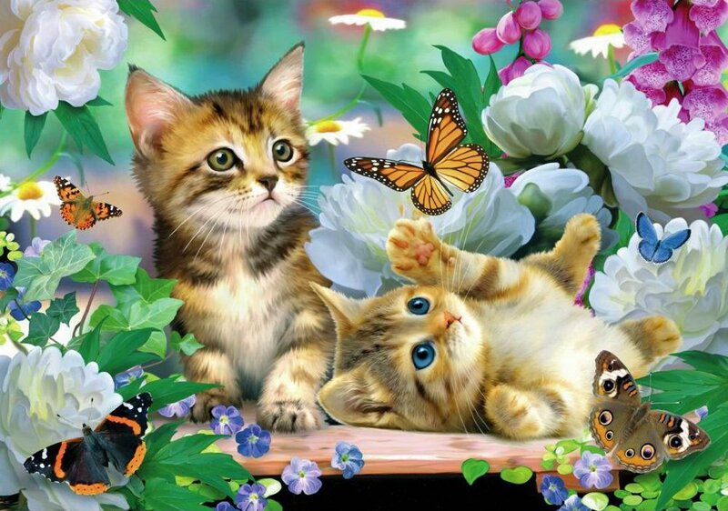 Two Kittens in Flowers — White, Serene, Spring, Illustration