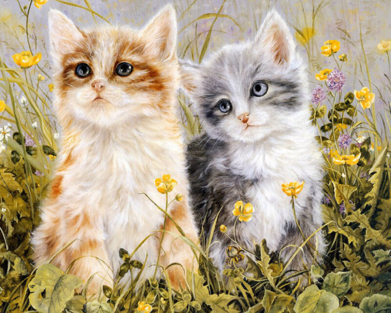 Two Kittens in Flowers — Yellow, Serene, Spring