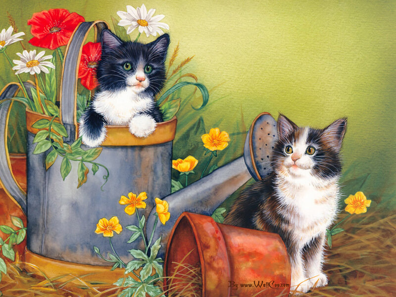 Two Kittens in Garden — Green