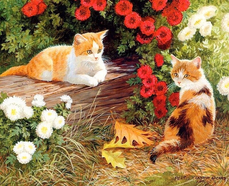 Two Kittens in Garden — Orange, Serene