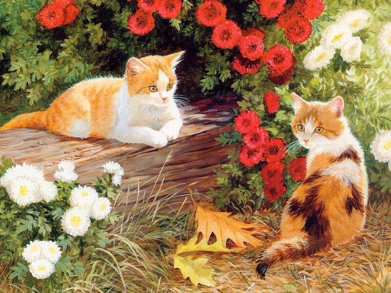 Two Kittens in Garden — Orange