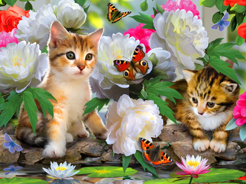 Two Kittens in Garden — White, Serene