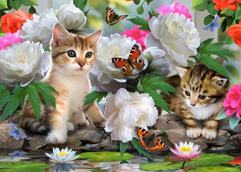 Two Kittens in Garden — White