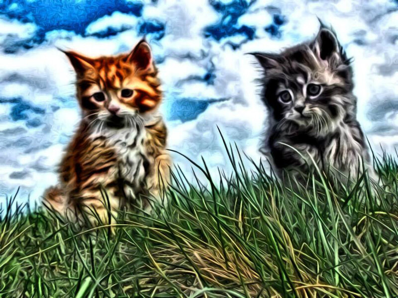 Two Kittens in Grass — Green, Calm, Digital Art